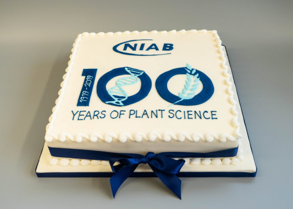 Square white edible image cake featuring NIAB corporate logo and "100 Years of Plant Science" text printed on edible sugar sheet. This custom photo cake from Mia's Bakery displays the blue and white anniversary logo on smooth buttercream with scalloped edges, finished with an elegant navy blue fondant bow. Perfect for corporate celebrations, milestone anniversaries, and business events using professional edible image printing technology.